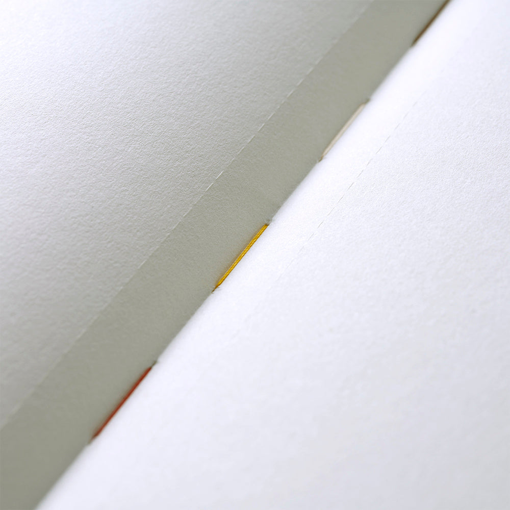 B-168 | booco x 今野志保 Sumi the Cat 筆記本 (花園)