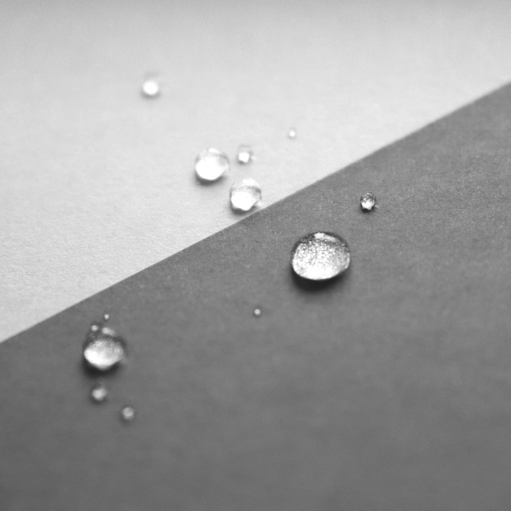 S-245 | 大成紙器製作所 TWO TRAY 紙托盤 (駝色 / 靛藍)