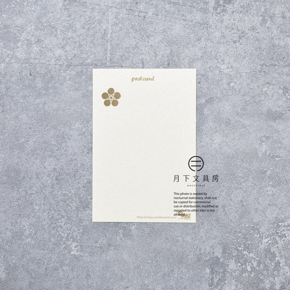 S-520 | ACTIVE CORPORATION x 梅屋 名信片 (招財貓)