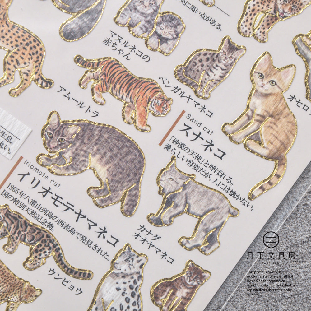 S-455 | KAMIO 大人之圖鑑貼紙 (貓科動物篇)
