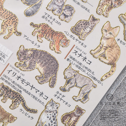S-455 | KAMIO 大人之圖鑑貼紙 (貓科動物篇)